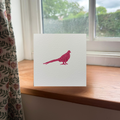 Raspberry Pheasant Greeting Card