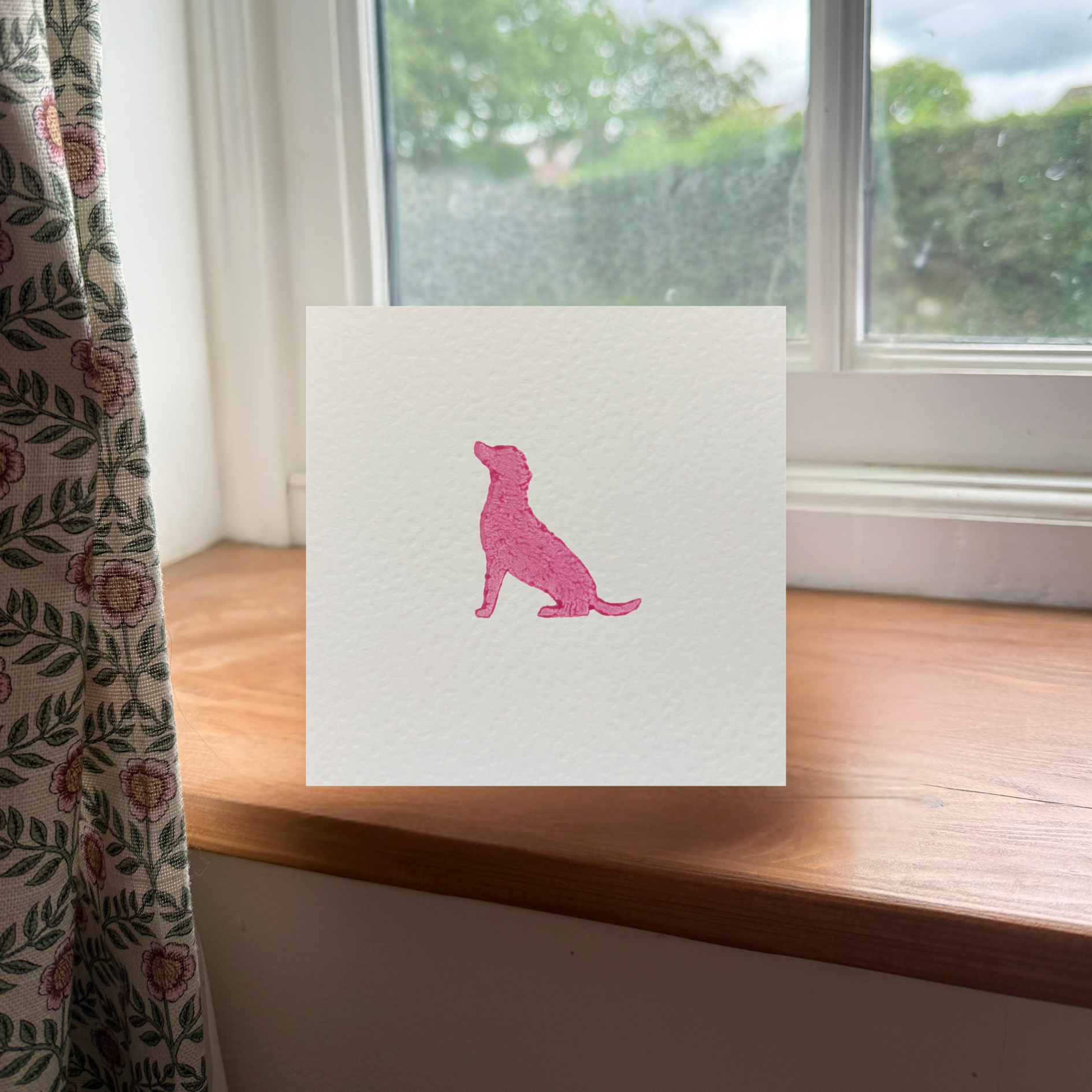 Bright Pink Labrador Greeting Card